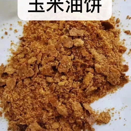 石家庄玉米饼饲料  玉米油饼