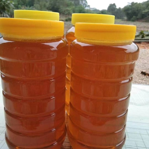 贵港荔枝蜜 广西大山正宗纯荔枝龙眼蜂蜜