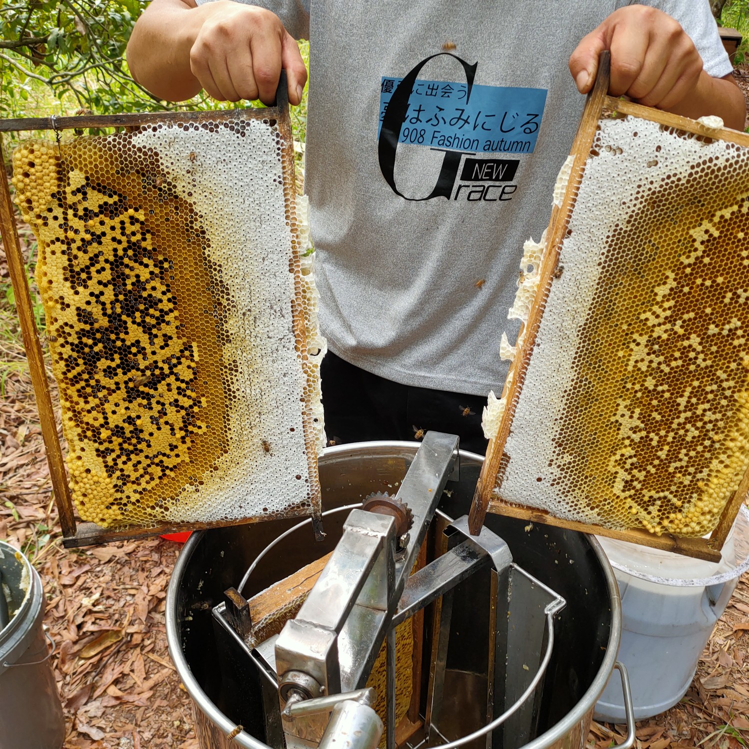 龙眼蜜 12-18个月 41 本品不能代替药物 2021-04-06 - 2021-04-20