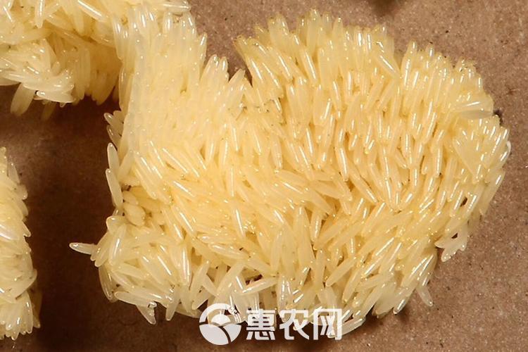 巨野县 黑水虻虫卵