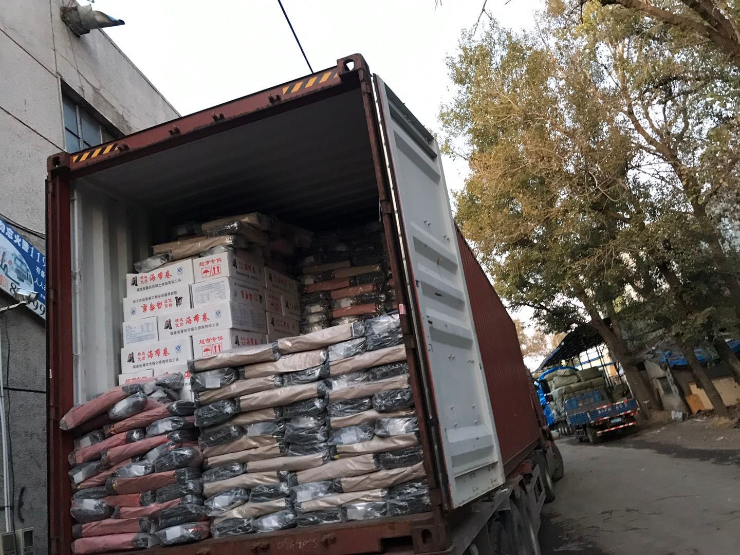 鲜海带  一颗菜二两片三两片福建海带片双节独立包装箱装高端货厂家直销