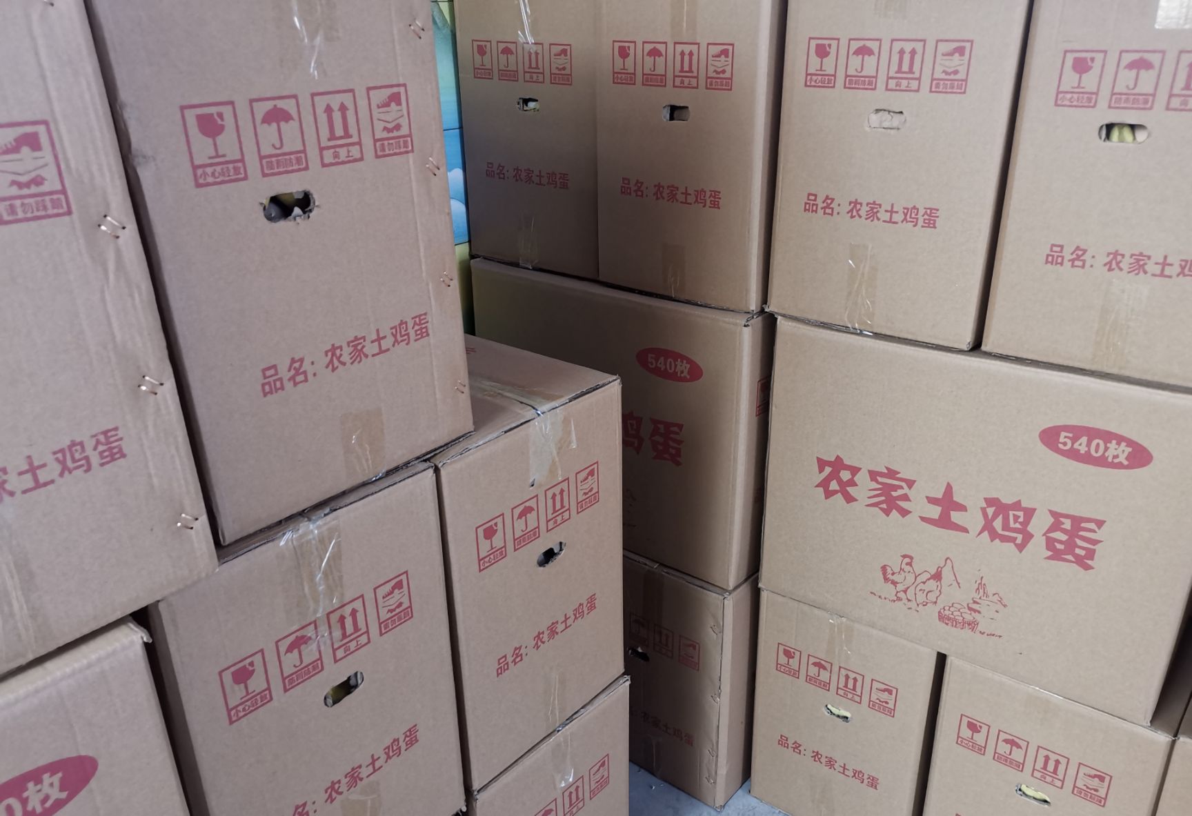 初生蛋  黑鳯土鸡蛋草鸡蛋柴鸡蛋蛋黄比例大12个—13个一斤