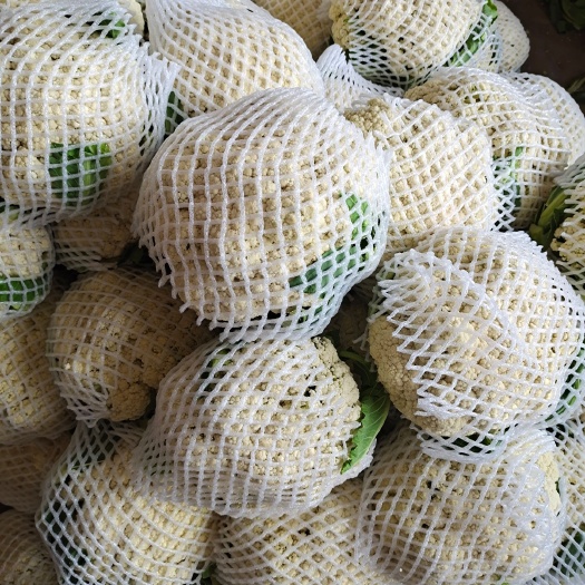 邯郸白花菜花 本地有机菜大量上市 质量好价格低需要的老板联系