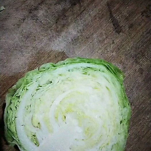 邯郸绿包菜 甘蓝大量大价格低大量供应！！！
