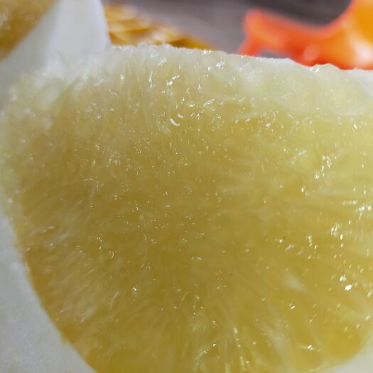 澄迈县 无核水晶蜜柚