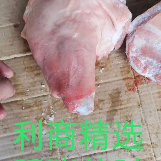 猪肘子  猪前肘，后肘都有，后肘10公斤一件，一件大概七八个