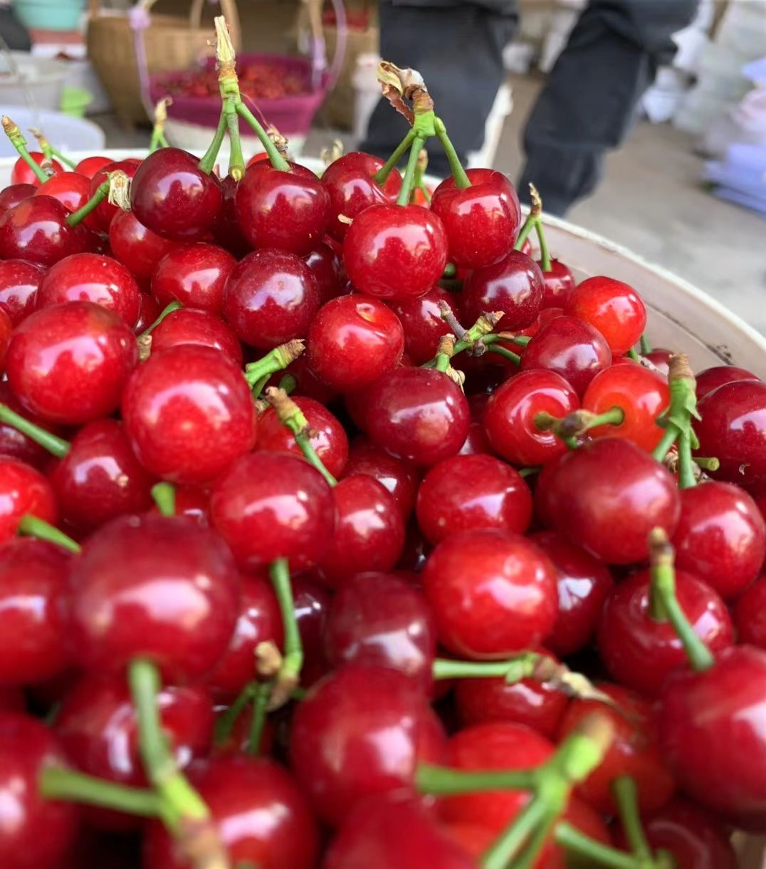 黑珍珠樱桃 黑珍珠，果型大，味道很甜，老少皆宜