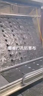 德州 育苗打孔的防草布，使用效果真的不错
