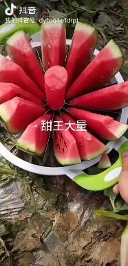 甜王西瓜  甜王大量上市，货源充足，保质保量，诚信为本，代发