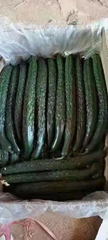  蔬菜，黄瓜，大棚黄瓜，大量上市，质量好，口感脆，货源充足，