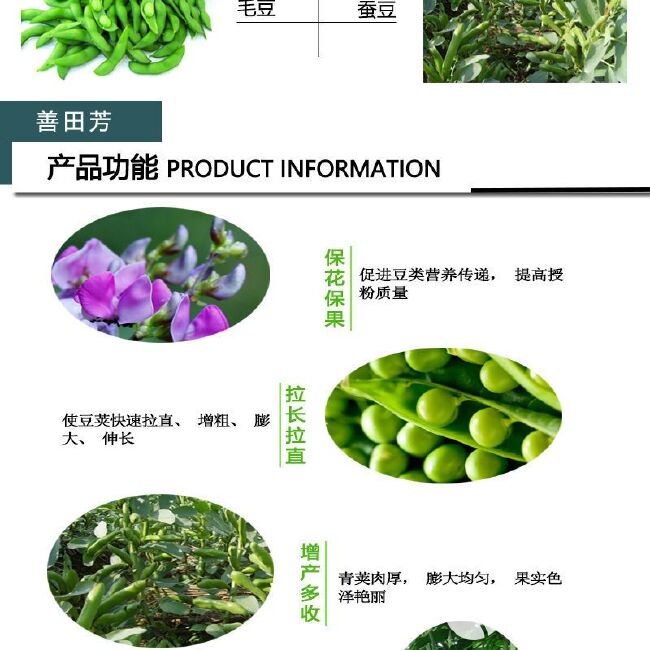 复合肥  豆角专用叶面肥