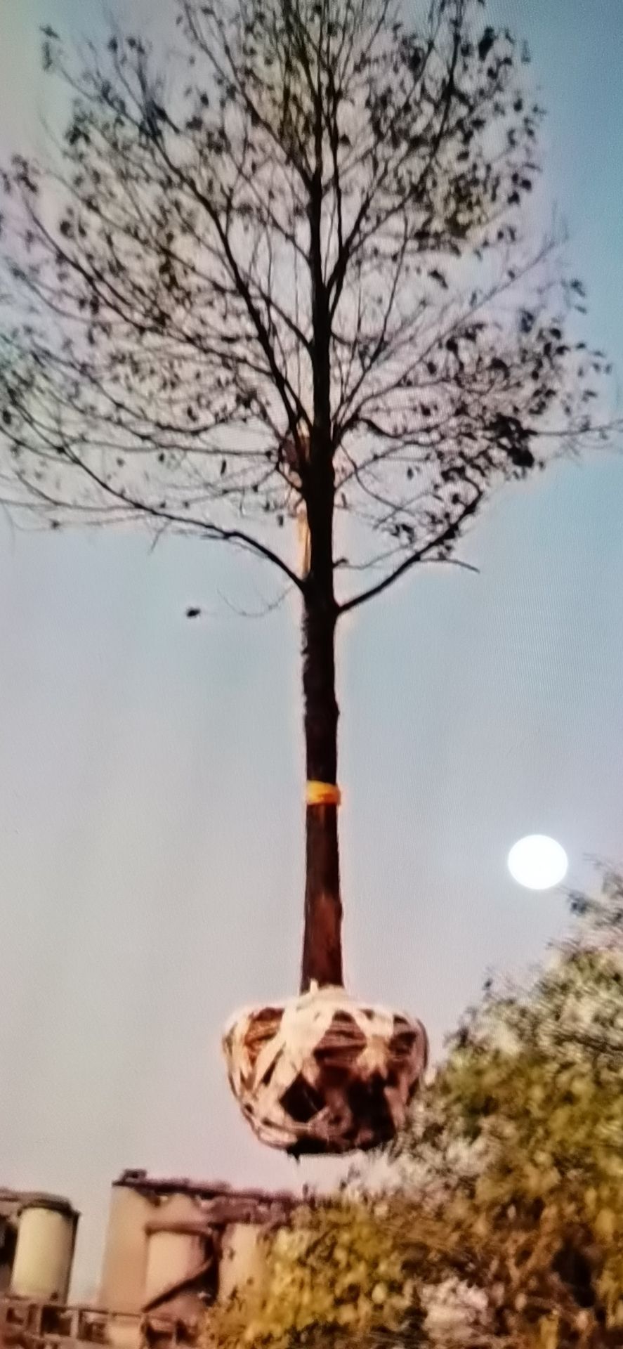 北栾