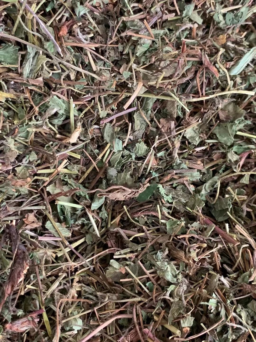 长期供应｛蛇莓｝可批量可零售量大从优【包邮】