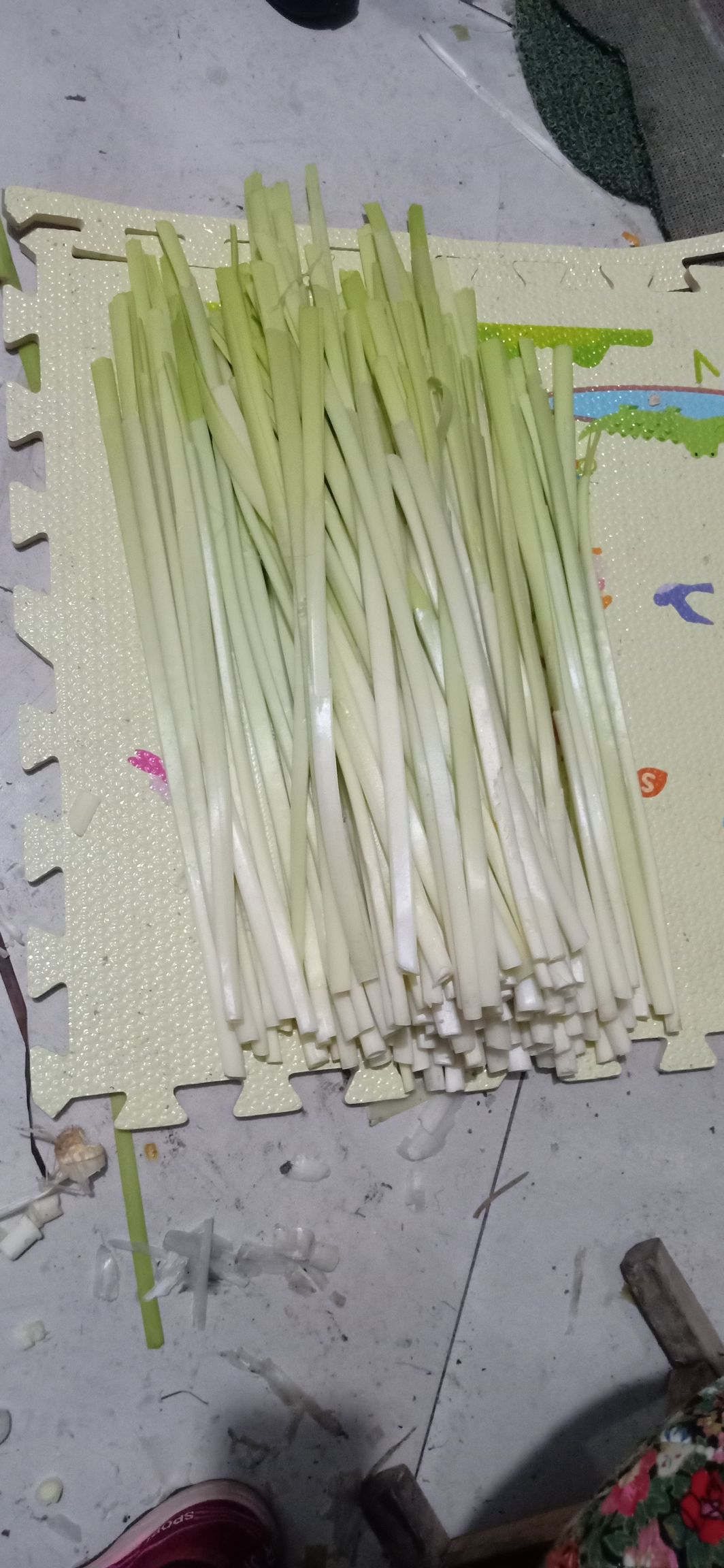 蒲菜 微湖野生浦菜
