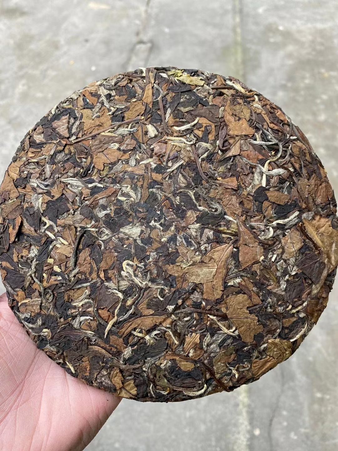 寿眉  2017年贡眉  福鼎潘溪高山料   一提五饼