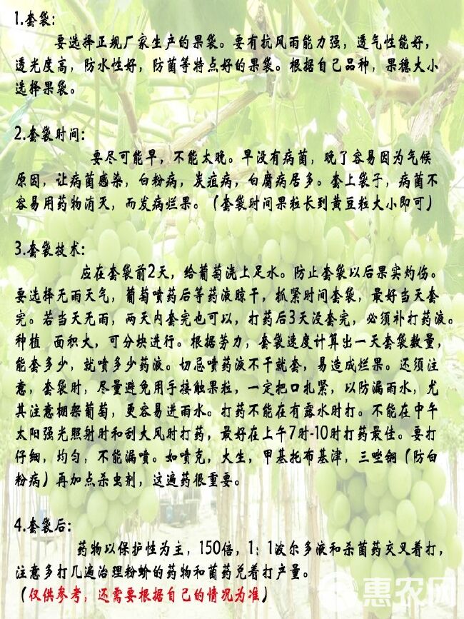 葡萄袋子防鸟防虫袋露天葡萄专用套袋水果育果袋 纯木浆纸袋包邮