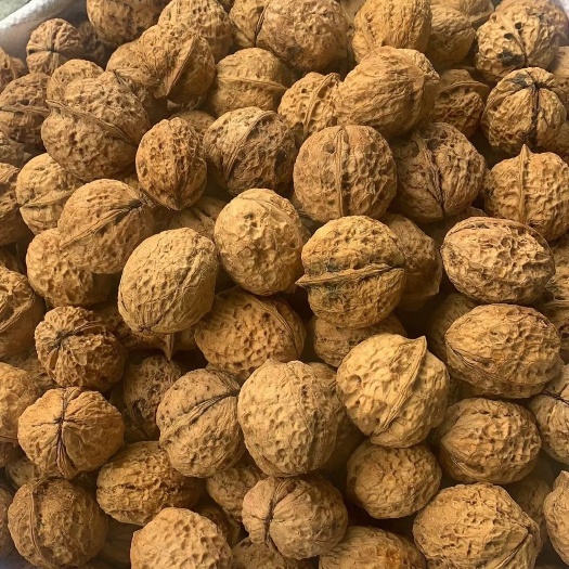 成都江湖地摊正正宗云南麻子核桃，大果，质量好！库房大量现货