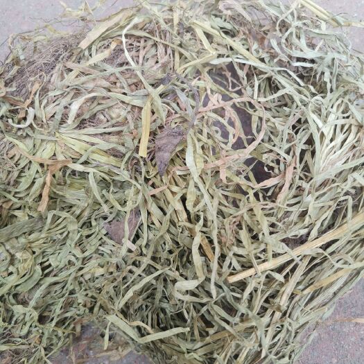 安国市中药材  金线吊白米，小肺筋草，蛆儿草  今年新货，产地直供
