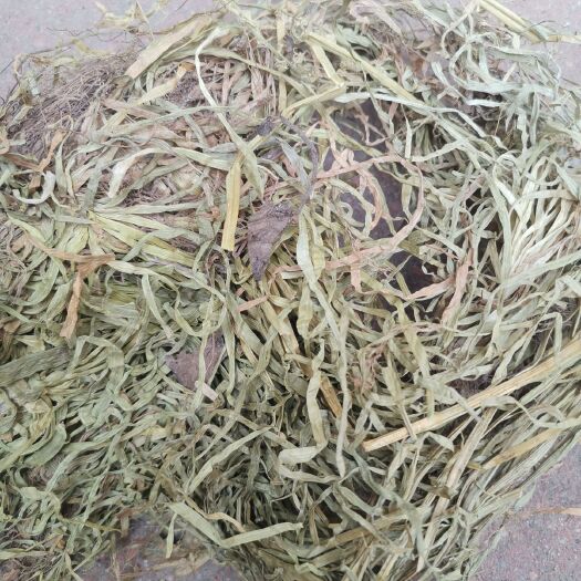 中药材  金线吊白米，小肺筋草，蛆儿草  今年新货，产地直供