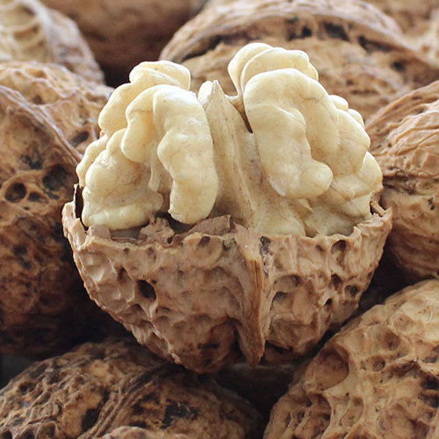 漾濞彝族自治县泡核桃  云南大泡