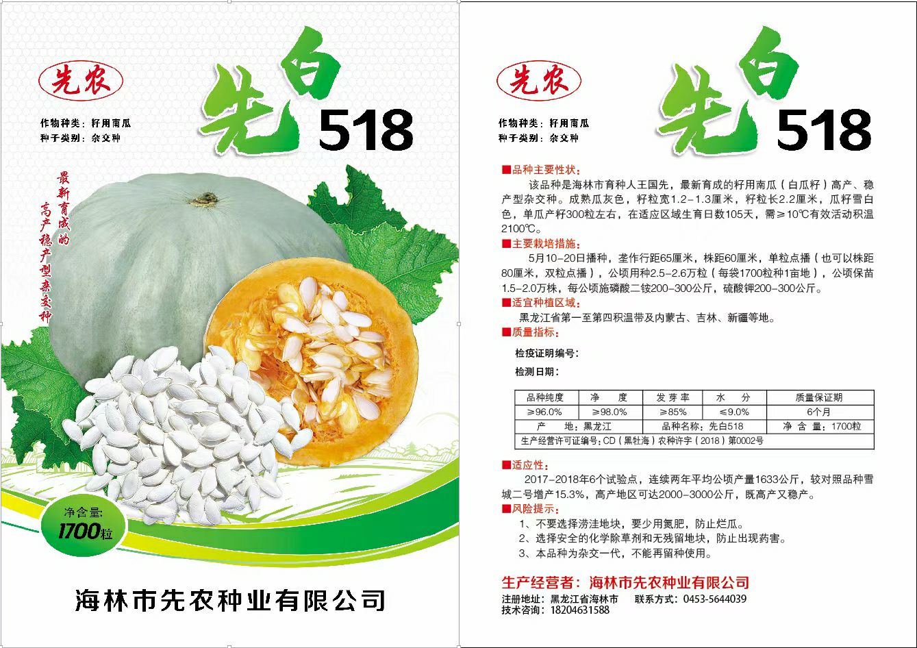 南瓜种子  新品种多籽南瓜种先白518白瓜子南瓜籽籽用南瓜南