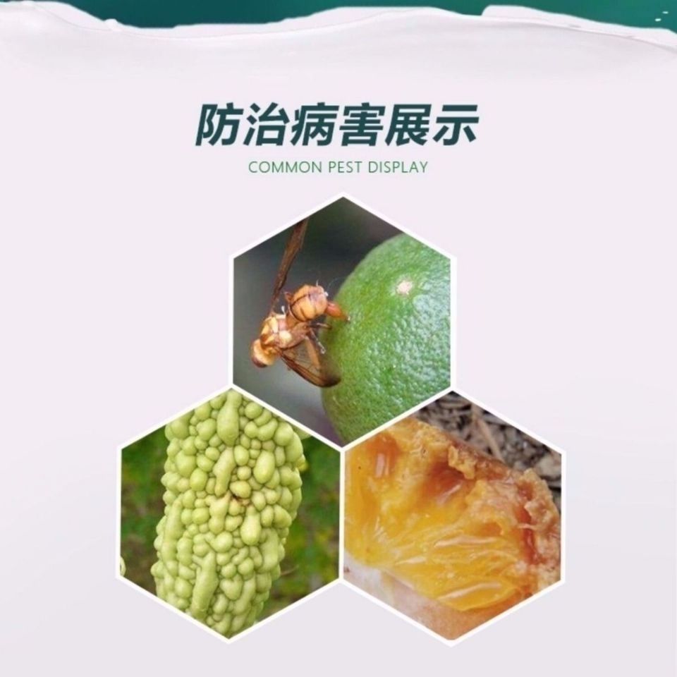 针蜂果蝇杀虫剂苦瓜甜瓜果实蝇实蝇针蜂杀虫剂 联苯菊酯