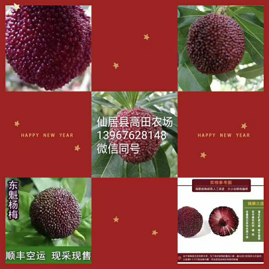 仙居县高田农场东魁杨梅预订中，欢迎亲们
砸单