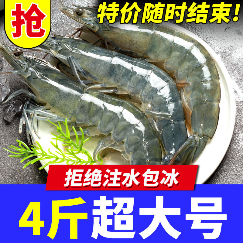 中国对虾  新鲜超大虾鲜活冷冻海捕天然大虾整箱基围虾对虾青虾白虾海鲜水产