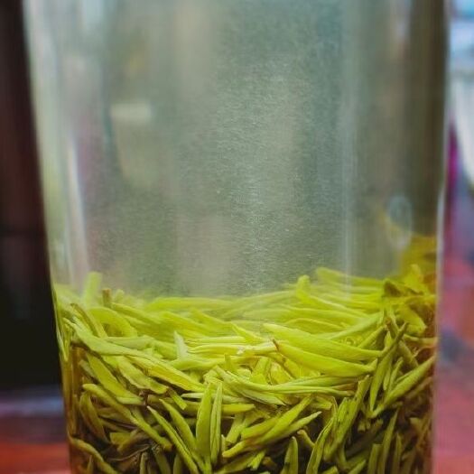 信阳 信阳毛尖茶雨前茶小芽