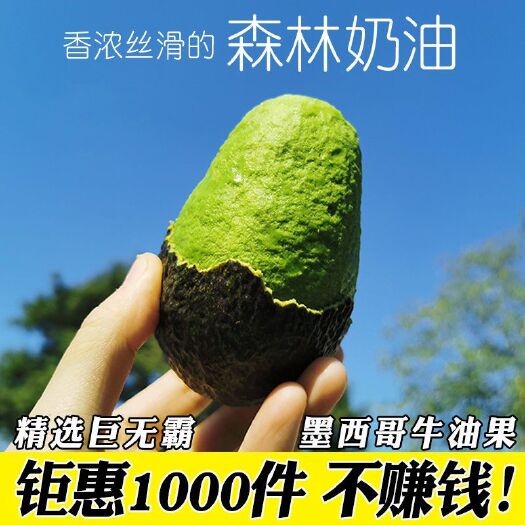 广州 【一手货源】新鲜牛油果宝宝辅食孕妇水果支持一件代发