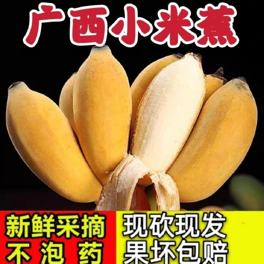【泡沫箱】广西小米蕉当季新鲜水果苹果蕉香蕉批发皇帝芭蕉