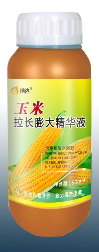 玉米膨大拉长