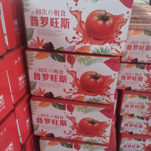 海阳市普罗旺斯番茄 普罗旺斯西红柿