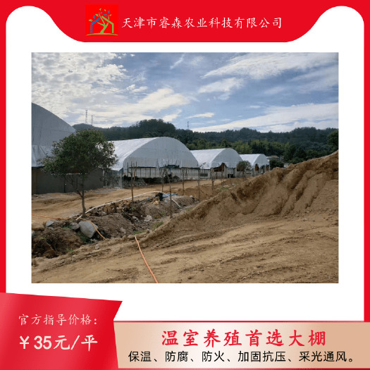 天津养殖大棚  养牛大棚