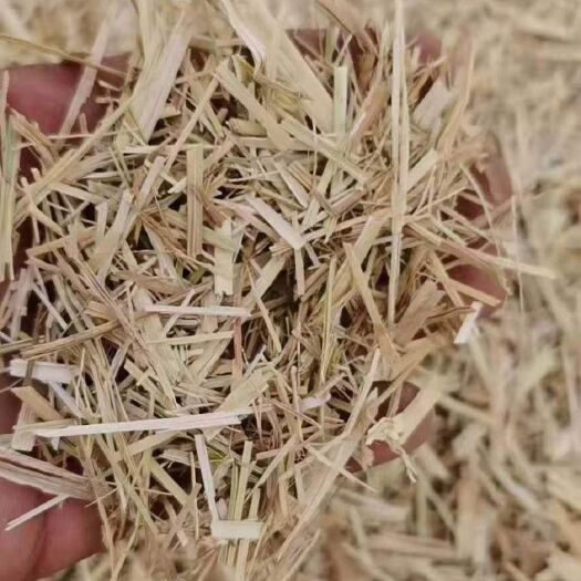 山丹县小麦秸秆 麦草