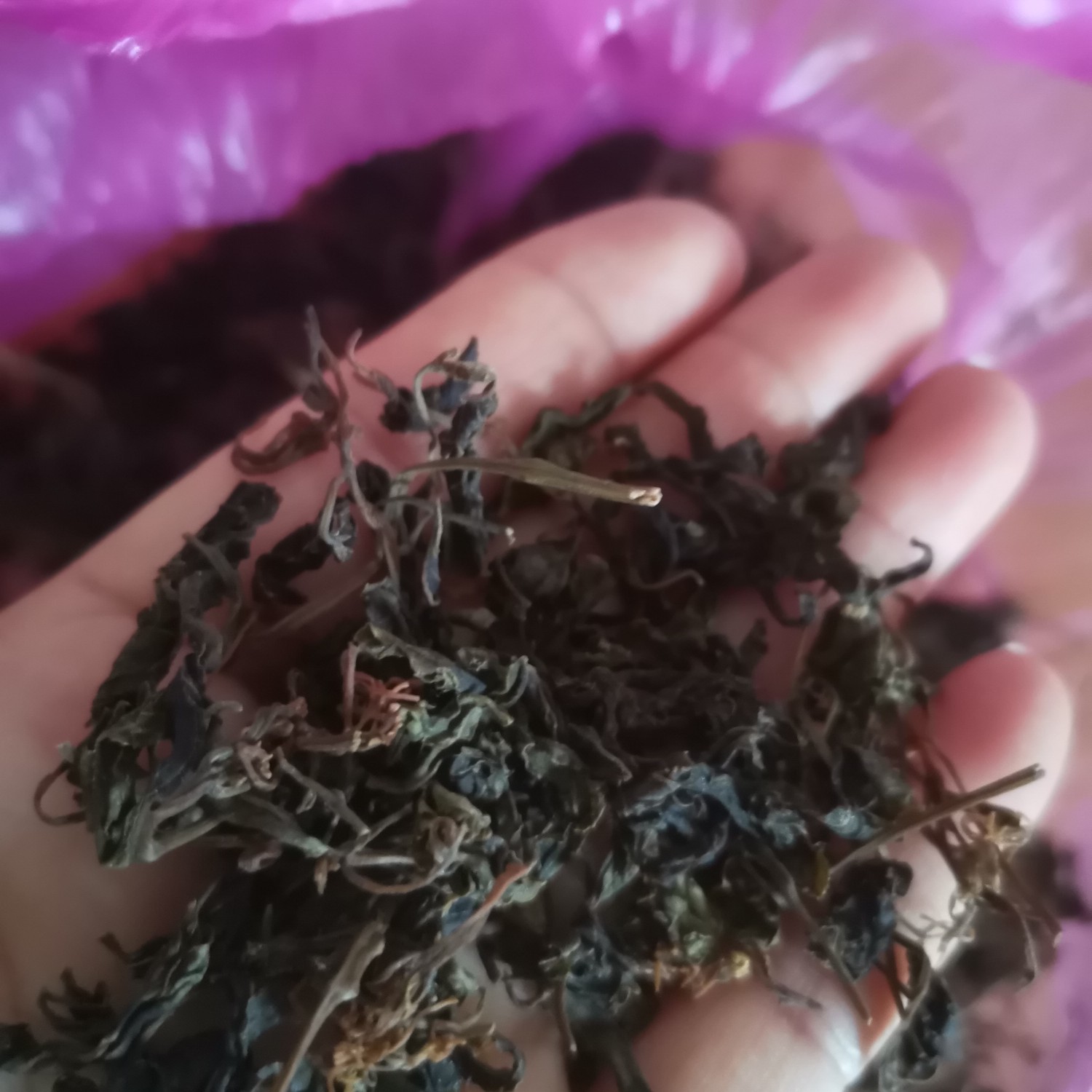 干珍珠菜珍珠菜干菜农产品宿松特产雨花菜