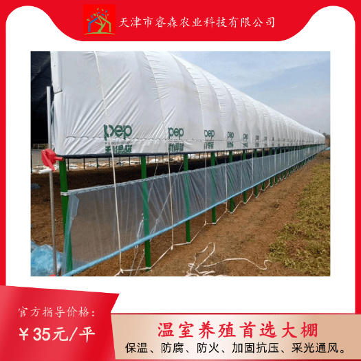 天津养殖大棚  养羊大棚