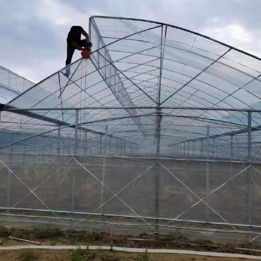 天津大棚管 锯齿联动棚
