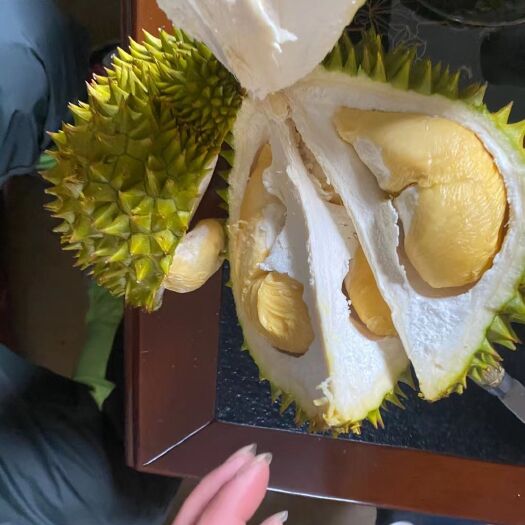 南宁干尧榴莲 干尧一级货