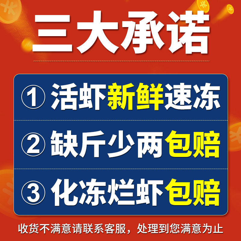 中国对虾  新鲜超大虾鲜活冷冻海捕天然大虾整箱基围虾对虾青虾白虾海鲜水产