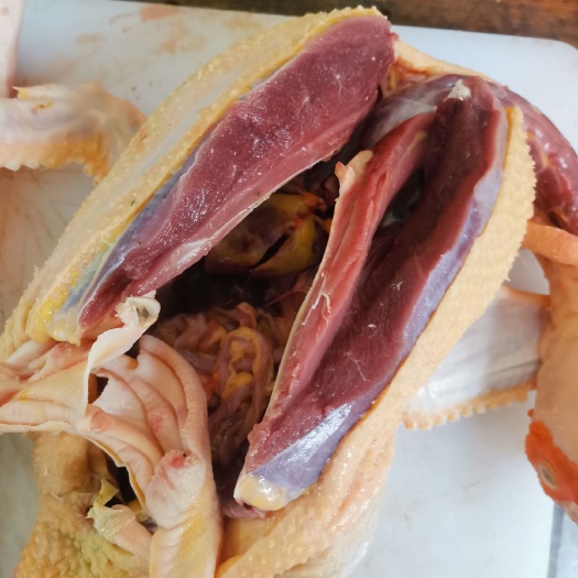 苏州白条鸭  老番鸭红头鸭现杀散养番鸭红头鸭活体飞鸭新鲜整只现杀藤子屯鸭