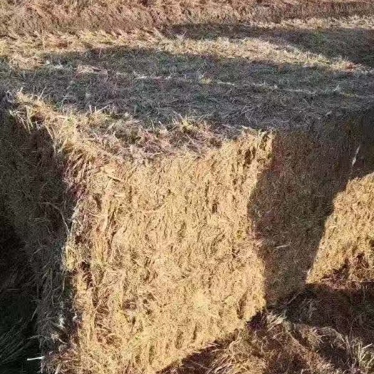 固镇县 稻草