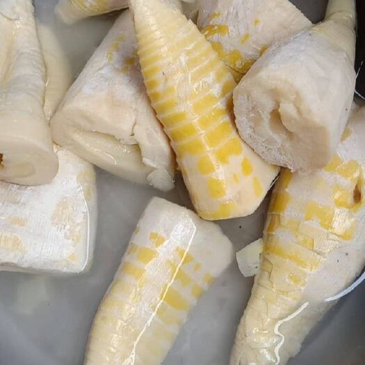 天全县半成品原料楠竹笋当天有20吨