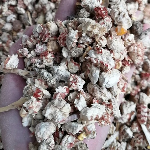 西华县 玉米芯