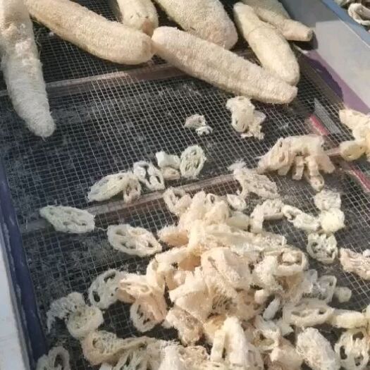 涡阳县 丝瓜络，产地一手货源，白黄色，无黑，无霉，质量有保障，诚信经