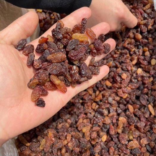 郑州免洗红提葡萄干每日坚果食品厂加工原料厂家一手货源