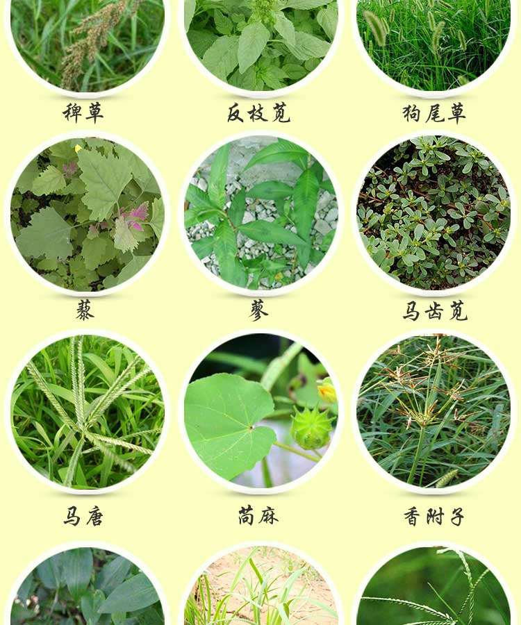 烟嘧莠去津 34%玉米地田苗后专用除草神剂除杂草烂根杀草药