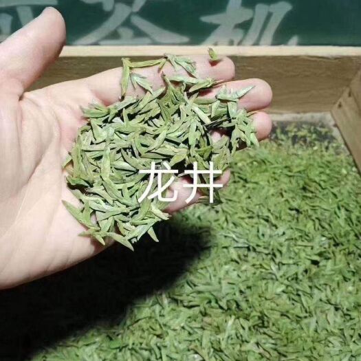 诸暨市龙井茶 浙江龙井