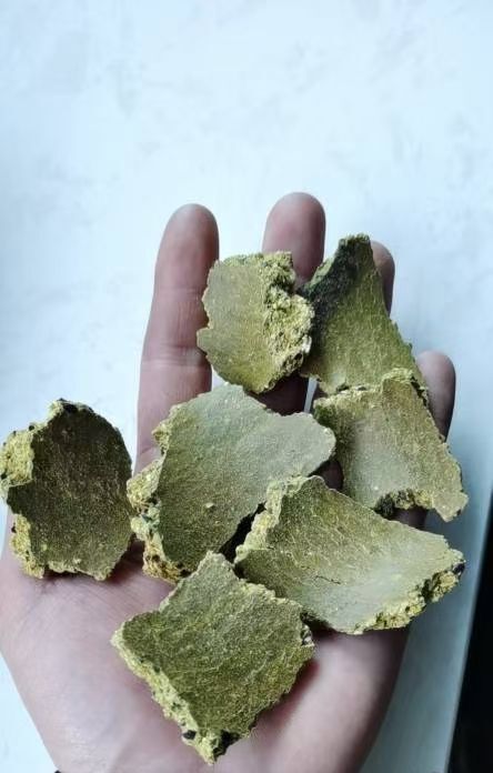 石家庄棉粕 棉籽饼