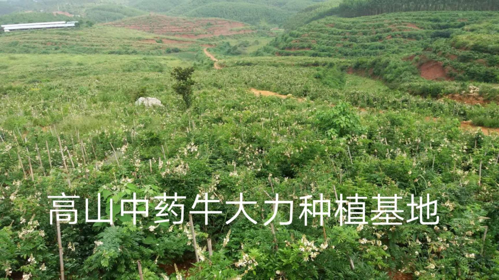 东源县山地，荒地，农场招租及合作（免租）国道边，口速旁，水电路三通